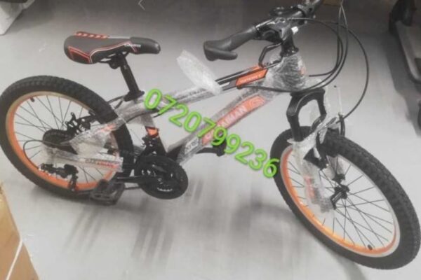 Bicicleta Caraiman  20'' frana disc Portocaliu